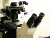 Equipos de Laboratorio
