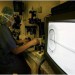 Con 15 óvulos el éxito de la in vitro es máximo