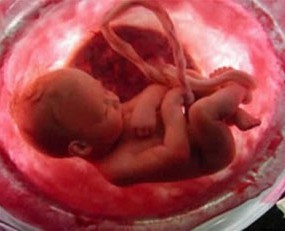 Cuales son los gestos del bebe en el vientre materno