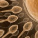 La mutación genética de una proteína del esperma causa infertilidad masculina