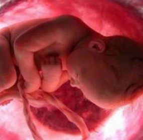 EEUU aprueba la primera terapia con células de sangre del cordón umbilical EEUU aprueba la primera terapia con células de sangre del cordón umbilical