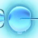 La actualidad de la reproducción asistida La actualidad de la reproducción asistida