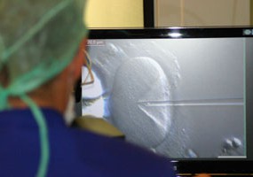 La Fertilidad Asistida en Murcia cumple 16 años