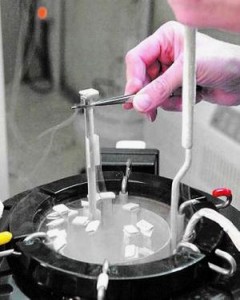 Registro de donantes de óvulos y esperma: transparencia y anonimato