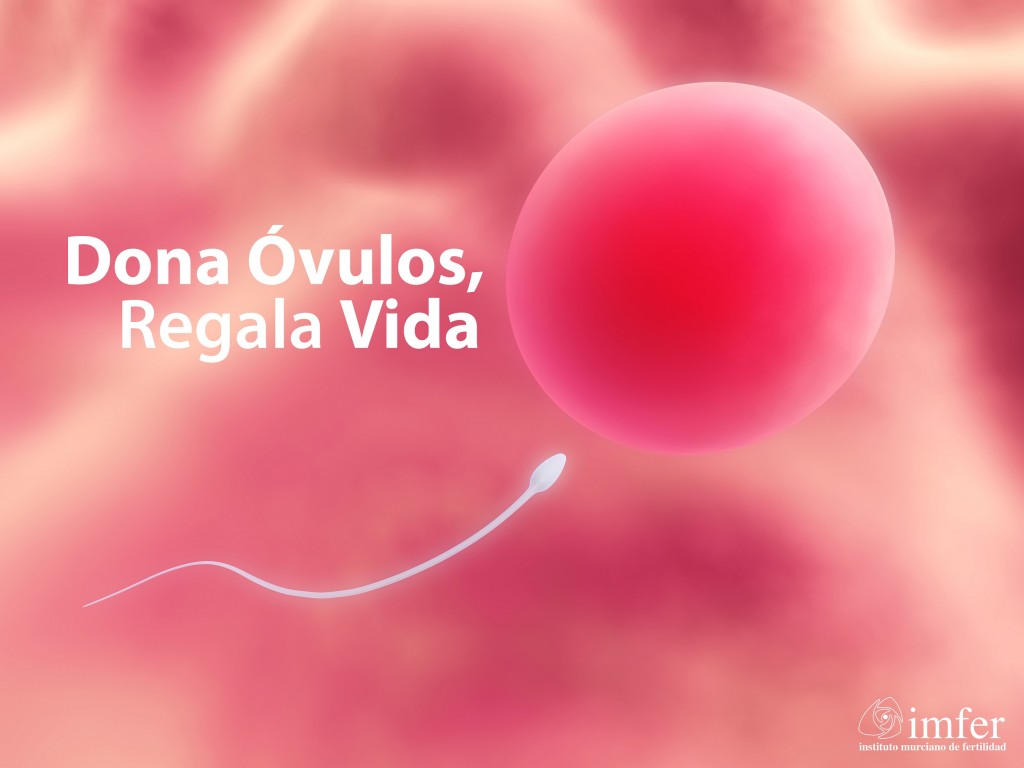 Donación de óvulos: por qué ser donante y cómo ayudas a otras mujeres a ser madres