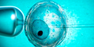 Edición genética de embriones: investigación y límites éticos | IMFER Blog