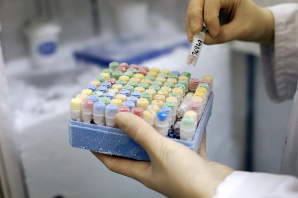 Vitrificación de óvulos: de la preservación oncológica a la maternidad por elección