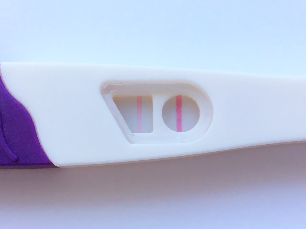Cómo funciona el test de embarazo: guía completa sobre la hCG y los tipos de prueba