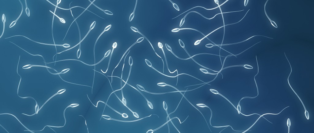 La calidad del semen ha caído en las últimas décadas: causas y qué puedes hacer