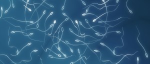 La calidad del semen ha caído en las últimas décadas: causas y qué puedes hacer
