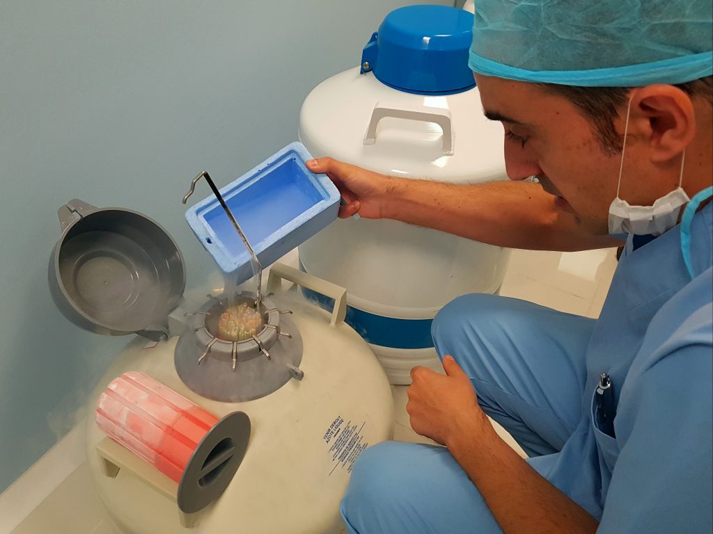 Consejos para aumentar tu fertilidad y lograr el embarazo