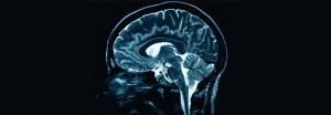 Cómo el embarazo transforma el cerebro de la madre: la ciencia detrás de la matrescence