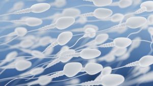 Fertilidad masculina: qué pueden hacer los hombres para mejorar la calidad del esperma