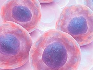Medicamentos oncológicos que preservan la fertilidad femenina