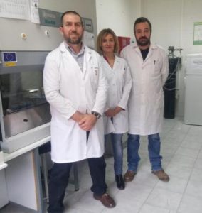 Autofagia celular y fertilidad: cómo el sistema de limpieza de las células mejora la calidad del embrión